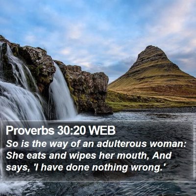 Proverbs 30:20 WEB Bible Verse Image