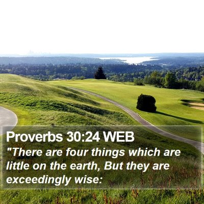 Proverbs 30:24 WEB Bible Verse Image
