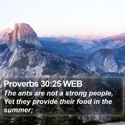 Proverbs 30:25 WEB Bible Verse Image