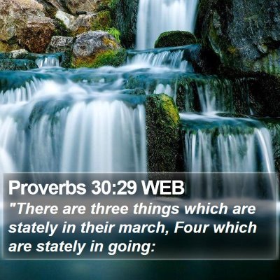 Proverbs 30:29 WEB Bible Verse Image