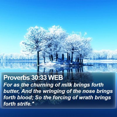 Proverbs 30:33 WEB Bible Verse Image