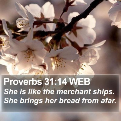 Proverbs 31:14 WEB Bible Verse Image