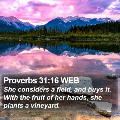 Proverbs 31:16 WEB Bible Verse Image