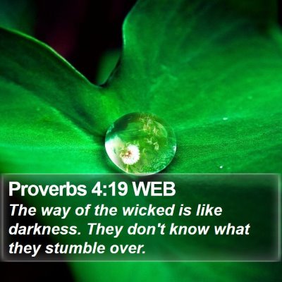 Proverbs 4:19 WEB Bible Verse Image