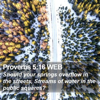Proverbs 5:16 WEB Bible Verse Image