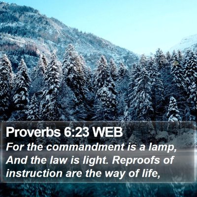Proverbs 6:23 WEB Bible Verse Image