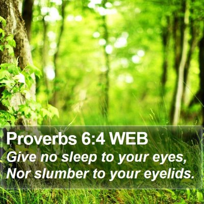 Proverbs 6:4 WEB Bible Verse Image