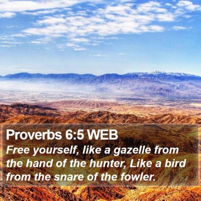 Proverbs 6:5 WEB Bible Verse Image