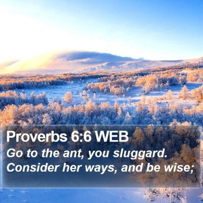 Proverbs 6:6 WEB Bible Verse Image