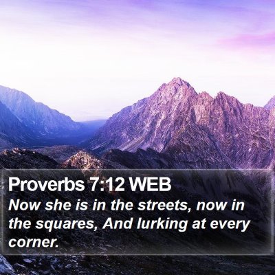Proverbs 7:12 WEB Bible Verse Image