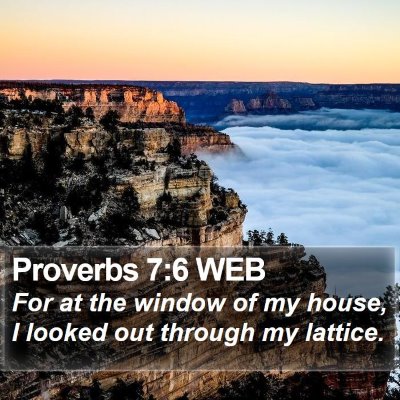 Proverbs 7:6 WEB Bible Verse Image