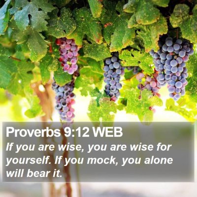 Proverbs 9:12 WEB Bible Verse Image