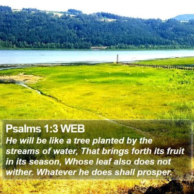 Psalms 1:3 WEB Bible Verse Image