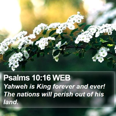 Psalms 10:16 WEB Bible Verse Image