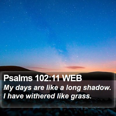 Psalms 102:11 WEB Bible Verse Image