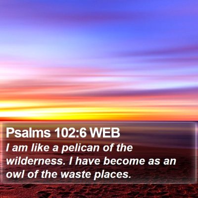 Psalms 102:6 WEB Bible Verse Image
