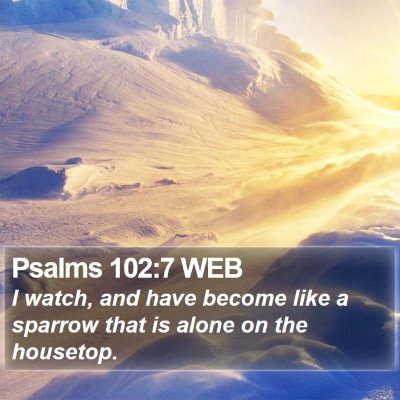Psalms 102:7 WEB Bible Verse Image