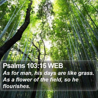 Psalms 103:15 WEB Bible Verse Image