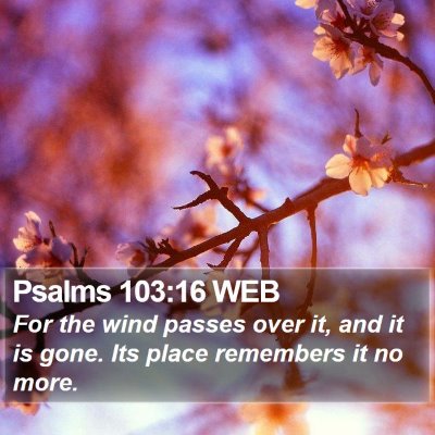 Psalms 103:16 WEB Bible Verse Image