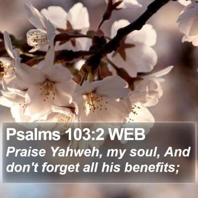 Psalms 103:2 WEB Bible Verse Image