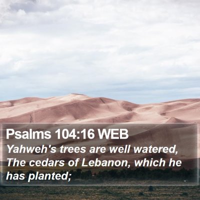 Psalms 104:16 WEB Bible Verse Image