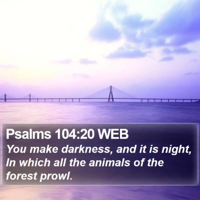 Psalms 104:20 WEB Bible Verse Image