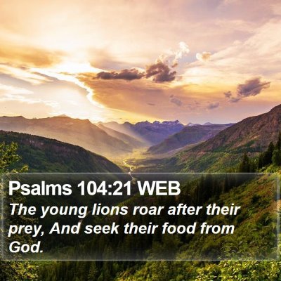 Psalms 104:21 WEB Bible Verse Image
