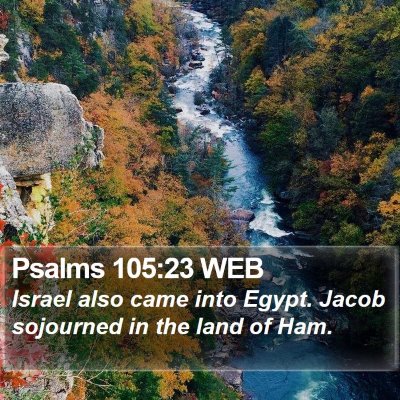 Psalms 105:23 WEB Bible Verse Image