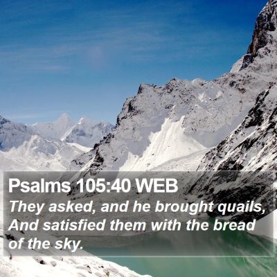 Psalms 105:40 WEB Bible Verse Image
