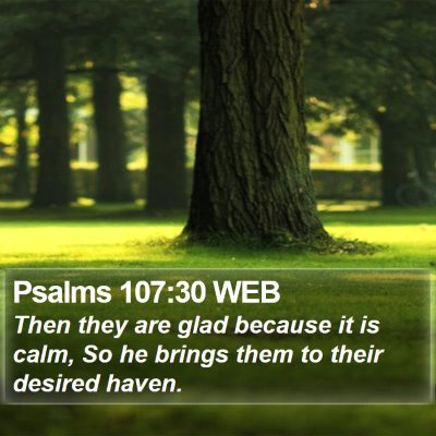 Psalms 107:30 WEB Bible Verse Image