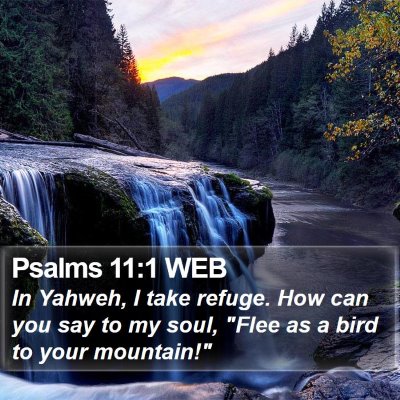 Psalms 11:1 WEB Bible Verse Image