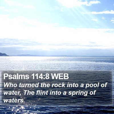 Psalms 114:8 WEB Bible Verse Image