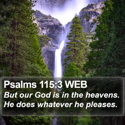 Psalms 115:3 WEB Bible Verse Image