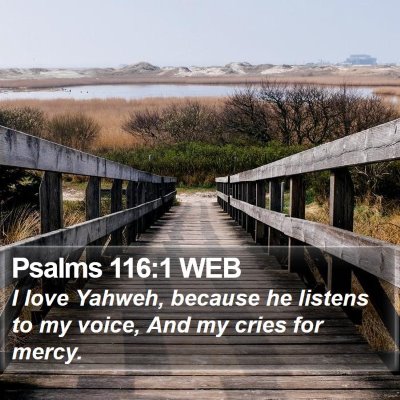 Psalms 116:1 WEB Bible Verse Image