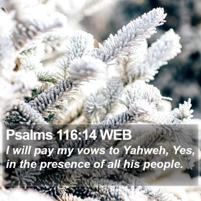 Psalms 116:14 WEB Bible Verse Image