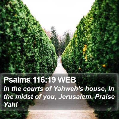 Psalms 116:19 WEB Bible Verse Image