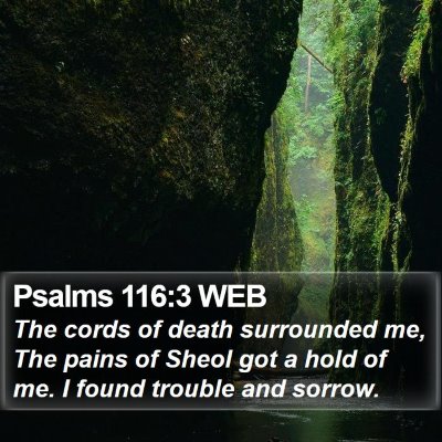 Psalms 116:3 WEB Bible Verse Image
