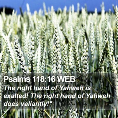 Psalms 118:16 WEB Bible Verse Image