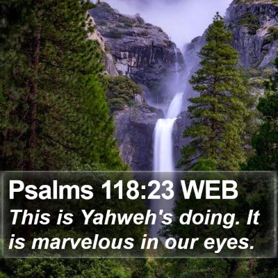 Psalms 118:23 WEB Bible Verse Image