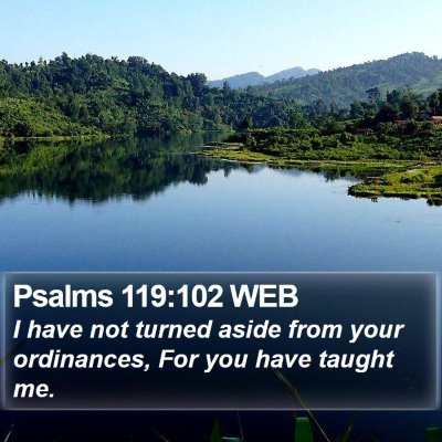 Psalms 119:102 WEB Bible Verse Image