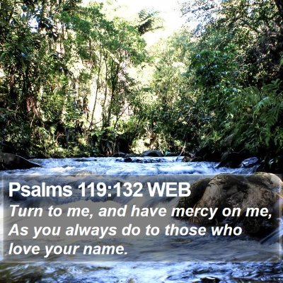 Psalms 119:132 WEB Bible Verse Image