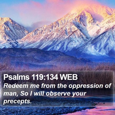 Psalms 119:134 WEB Bible Verse Image