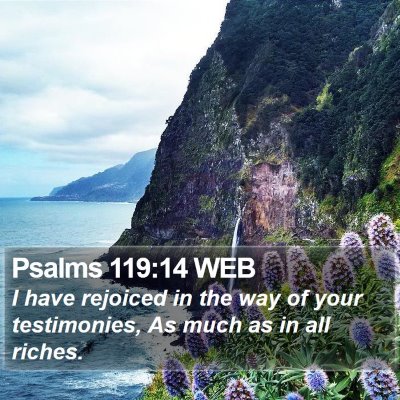 Psalms 119:14 WEB Bible Verse Image