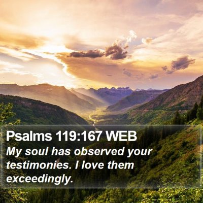 Psalms 119:167 WEB Bible Verse Image