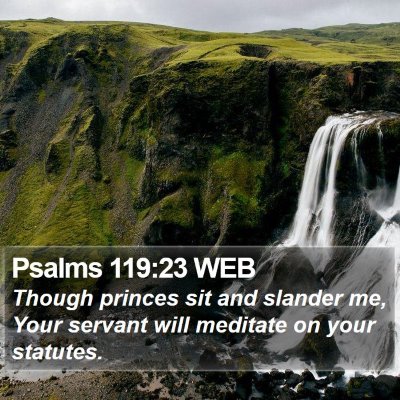 Psalms 119:23 WEB Bible Verse Image