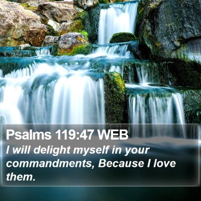 Psalms 119:47 WEB Bible Verse Image