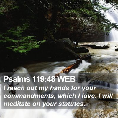 Psalms 119:48 WEB Bible Verse Image