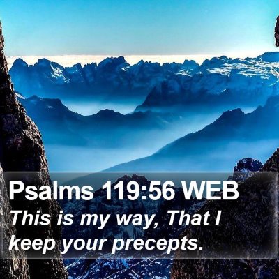 Psalms 119:56 WEB Bible Verse Image
