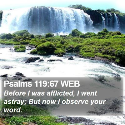 Psalms 119:67 WEB Bible Verse Image