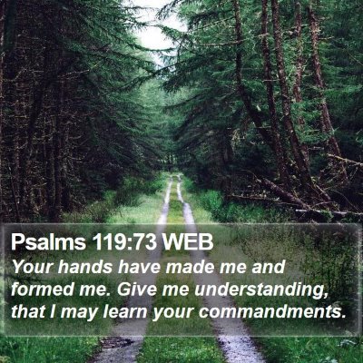 Psalms 119:73 WEB Bible Verse Image